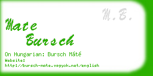mate bursch business card